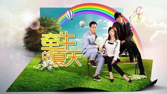 牵牛的夏天