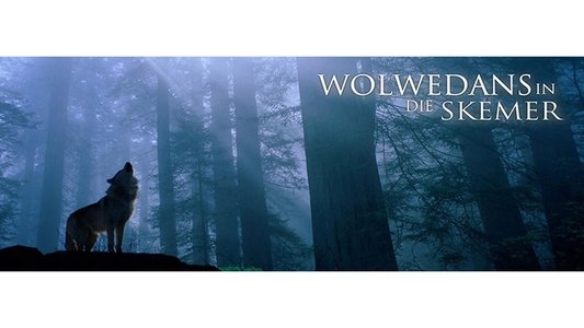 Wolwedans In Die Skemer