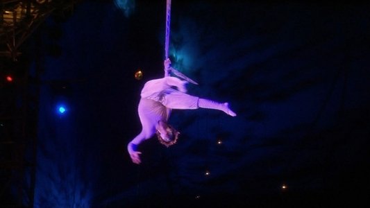 Cirque du Soleil: Varekai