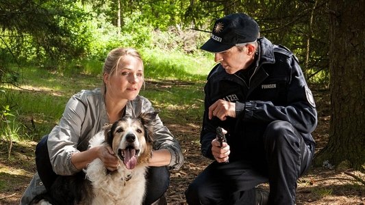 Reiff für die Insel - Katharina und der Schäfer