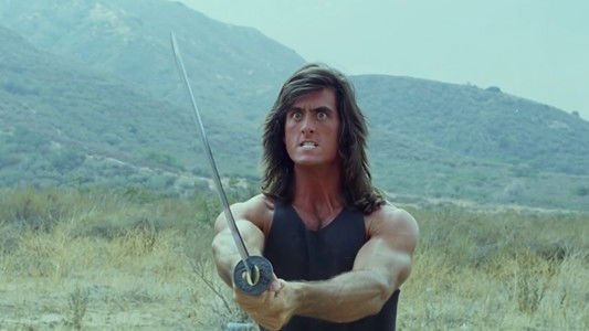 Samurai Cop