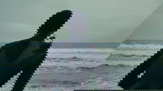 The Surf Report