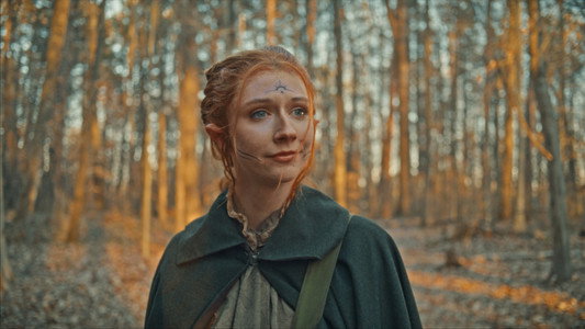 Fable of Fey