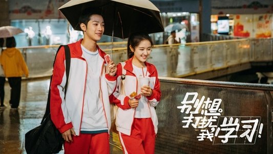 别想打扰我学习
