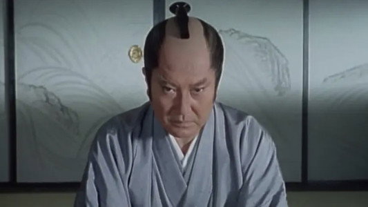 柳生武芸帳3　京に渦巻く大陰謀！十兵衛と謎の姫君