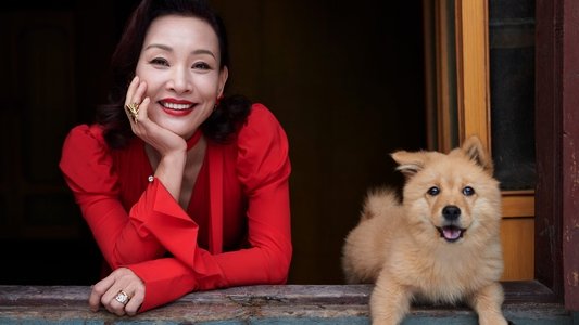 忠犬八公