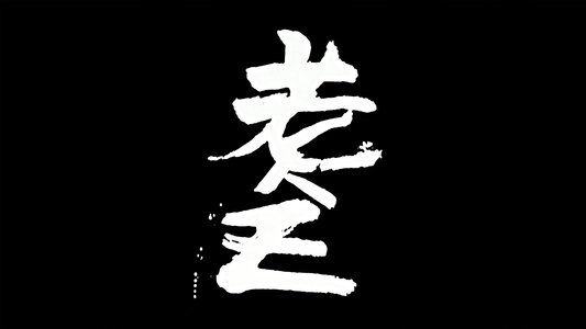 老人Z