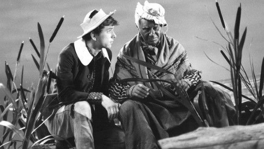 Dobrodružství Huckleberryho Finna - Jak jsme osvobozovali Jima