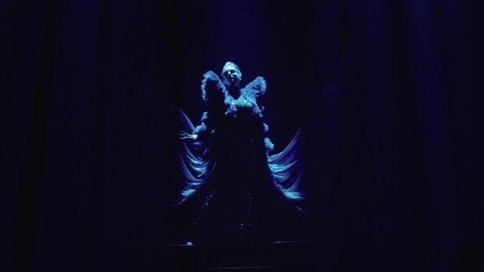 Vox Lux