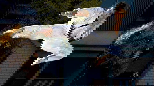 けんか空手 極真無頼拳