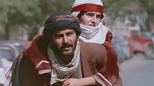 Sürü