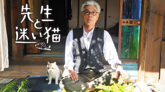 先生と迷い猫