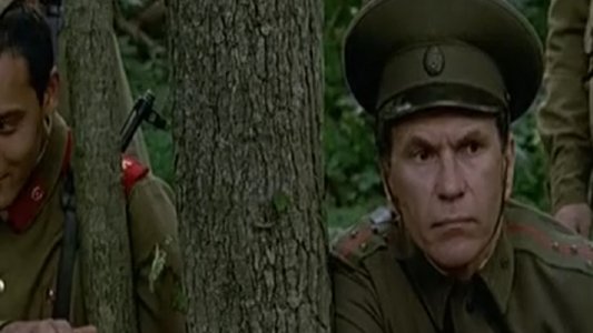Таежный роман