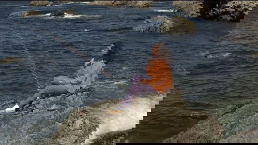 The Sandpiper