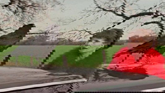 Damien - Omen II