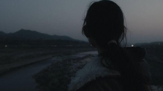 大象席地而坐