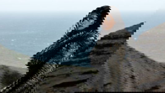 The Witcher