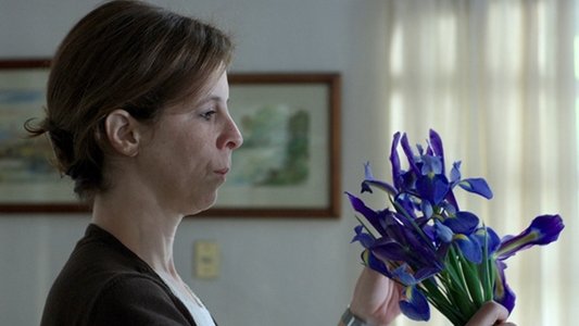 Flores silvestres