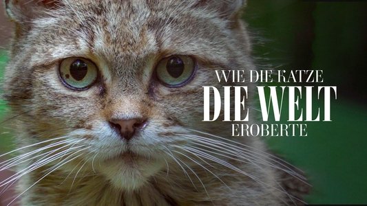 Comment le chat a conquis le monde