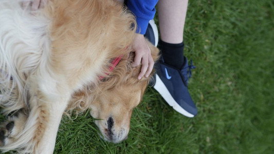 A Boy and His Dog