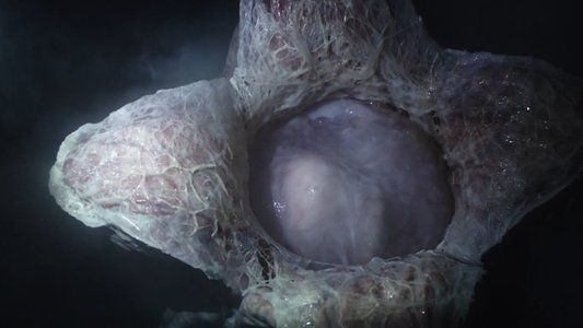 Alien: Covenant - Epilogue: Advent