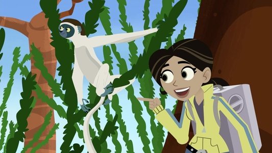 Wild Kratts