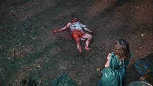 A Wounded Fawn