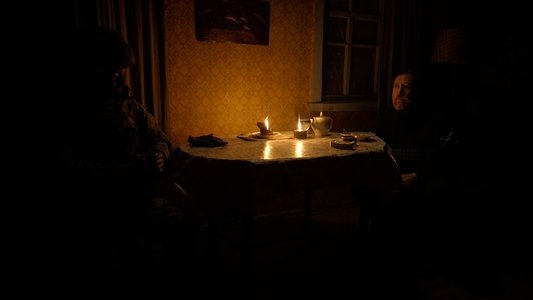 Сірі бджоли