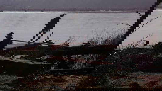 Manhunter