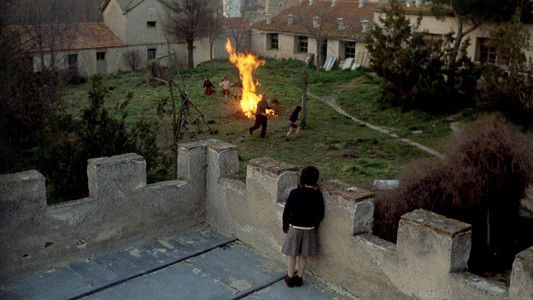 El espíritu de la colmena