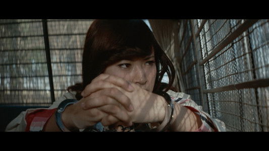 若い貴族たち　１３階段のマキ