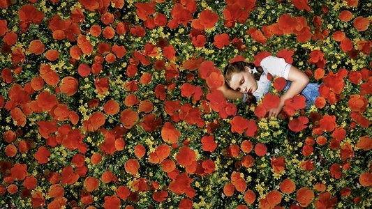 The Wizard of Oz