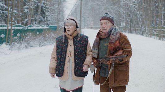 Родители строгого режима