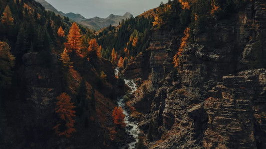 Voir l'automne, une saison en France