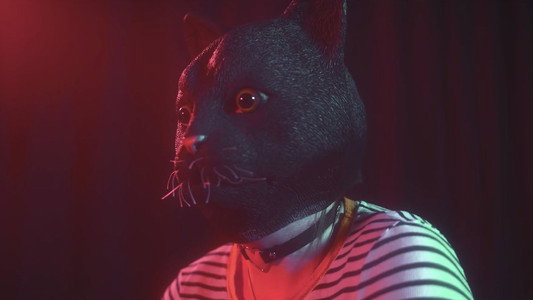 Cat Face
