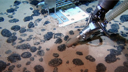 Faszination Tiefsee - Expedition zum Grund der Meere