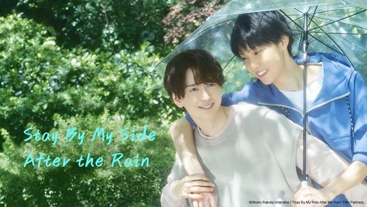 雨上がりの僕らについて