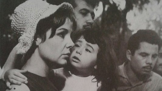 Paylaşılmayan Sevgili