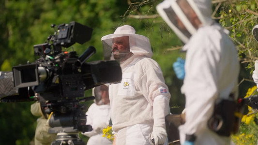 The Birth and the Bees: The Making of Bugonia