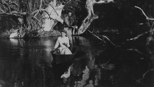 Lure of the Swamp