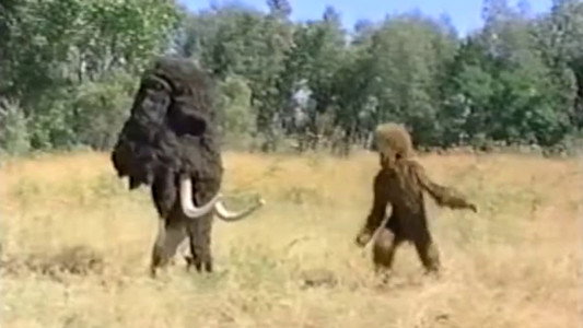 Time Warped