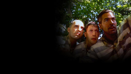 O Brother, Where Art Thou?