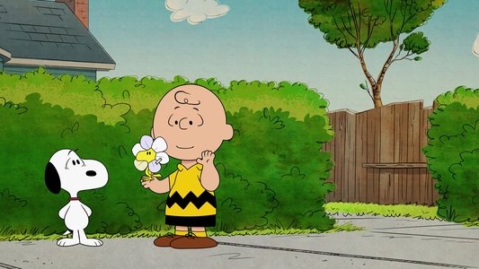 The Snoopy Show
