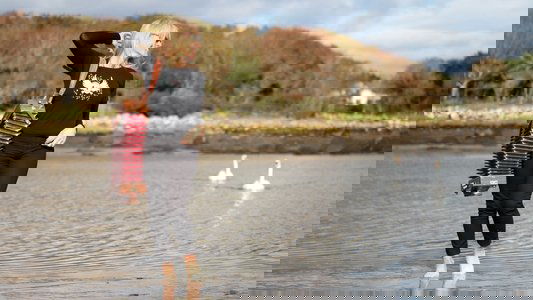 Heartlands