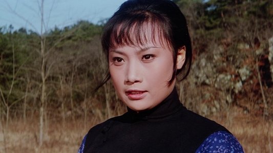 鐵掌旋風腿