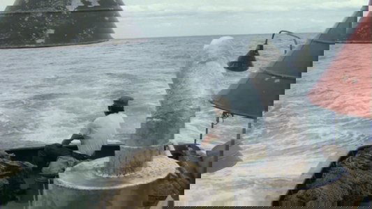 海燕ジョーの奇跡