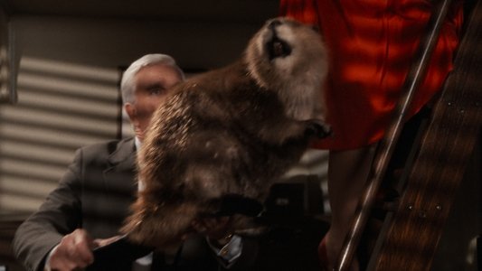 The Naked Gun: From the Files of Police Squad!