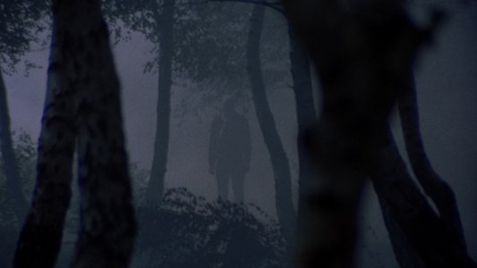I corpi presentano tracce di violenza carnale