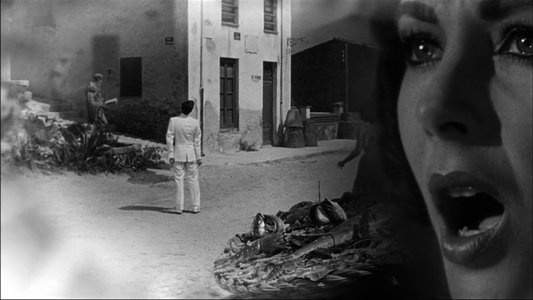 Suddenly, Last Summer