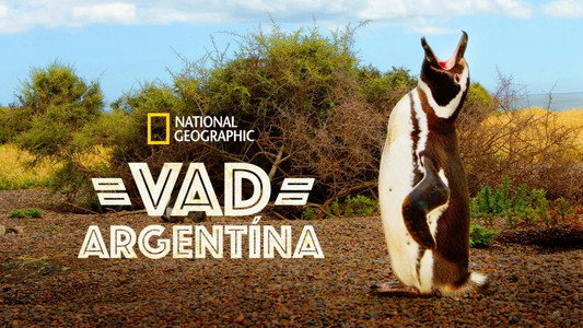 Wild Argentina
